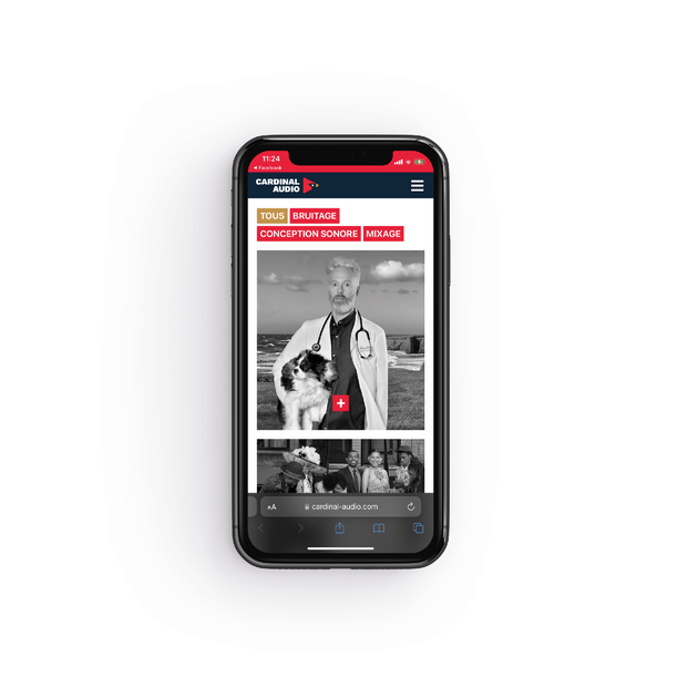 Présentation de Cardinal Audio